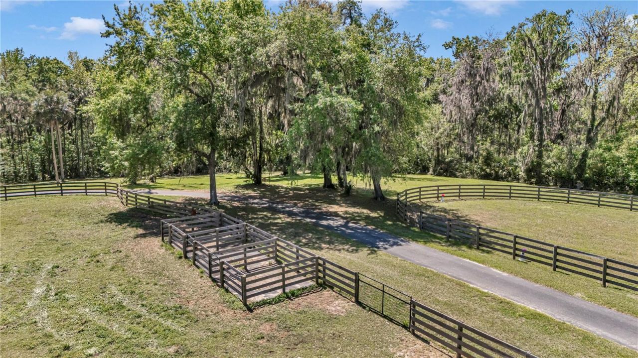 7000 NW Hwy 320, Micanopy, FL 32667 Photo