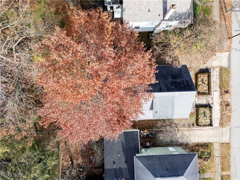 814 N Bever Street, Wooster, OH 44691 Photo 37