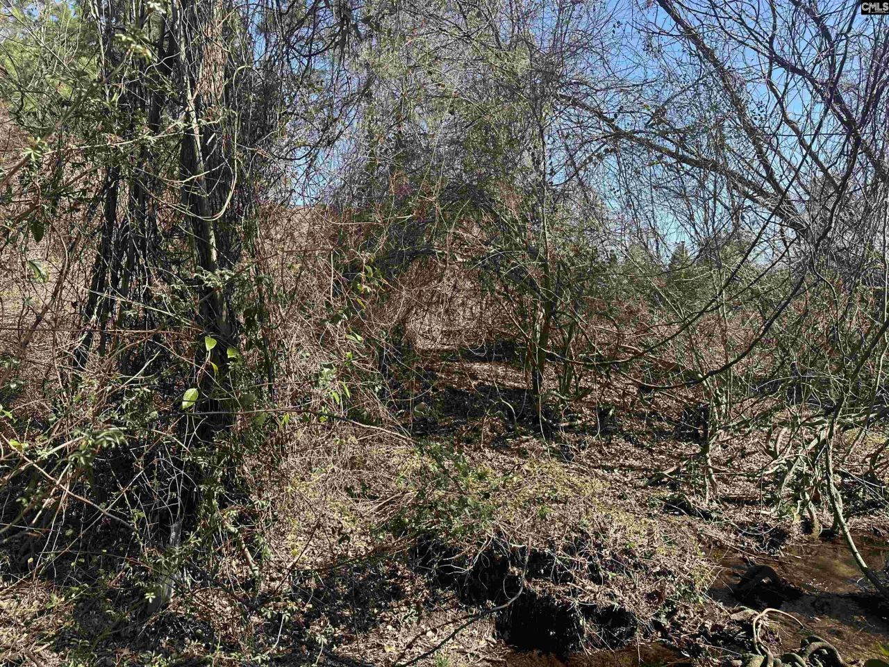 97 Charmont Drive Photo 10