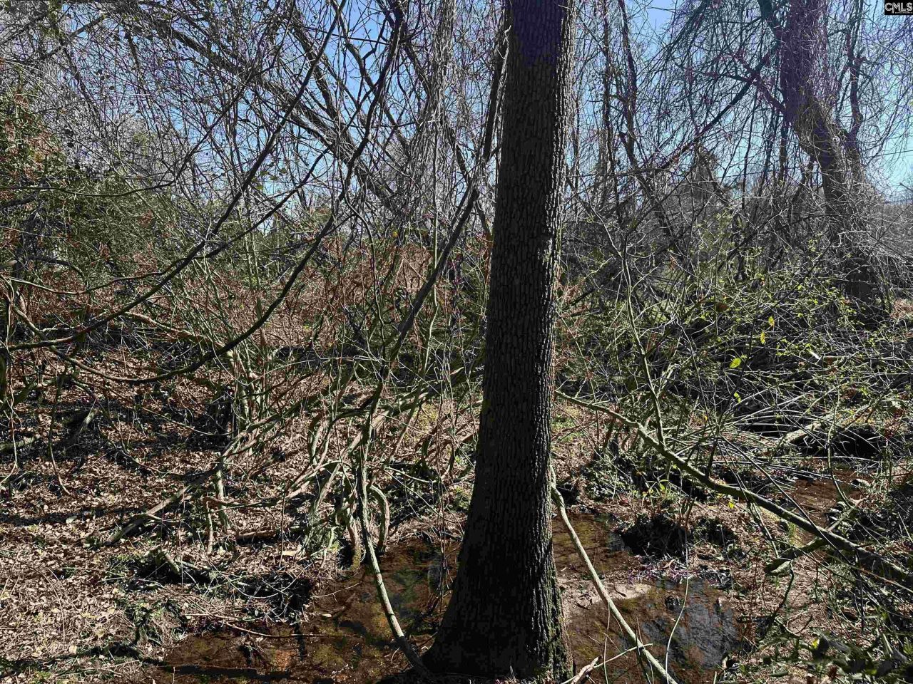 97 Charmont Drive Photo 11