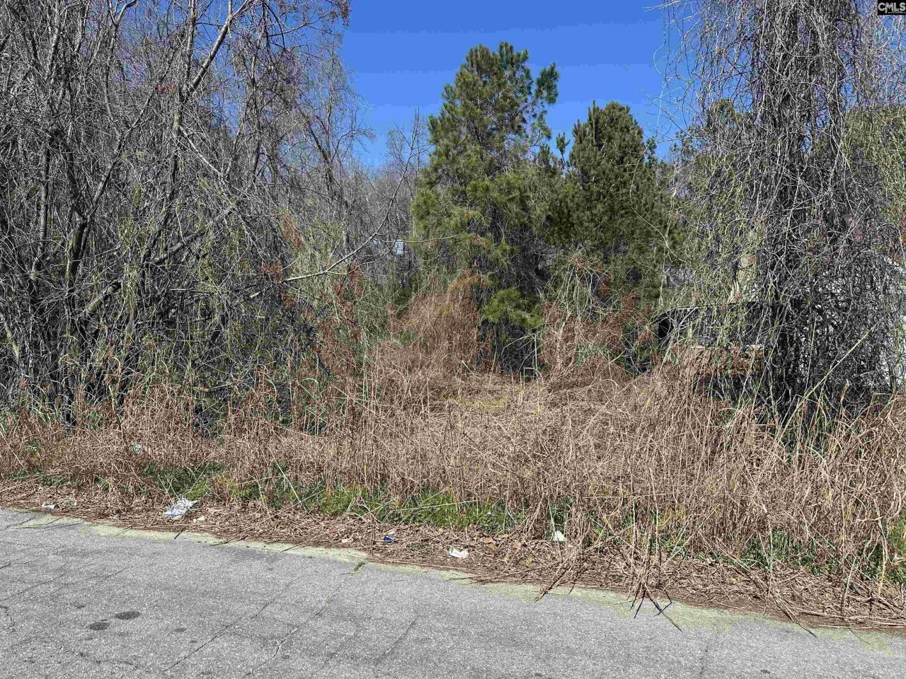 97 Charmont Drive Photo 4