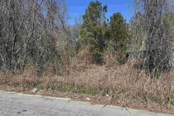 97 Charmont Drive photo 4