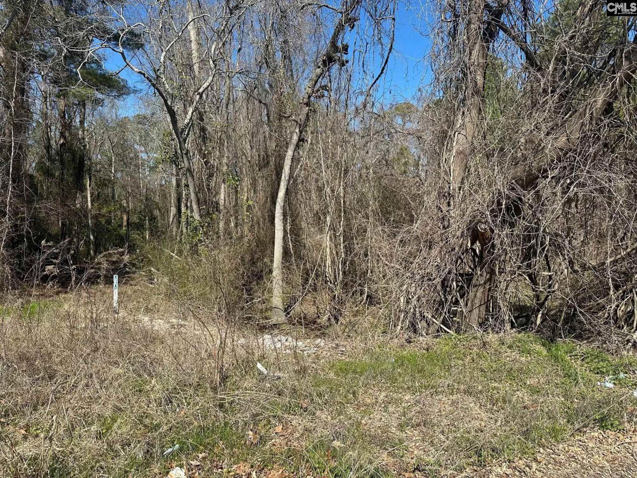 97 Charmont Drive Photo 5