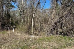 97 Charmont Drive photo 4