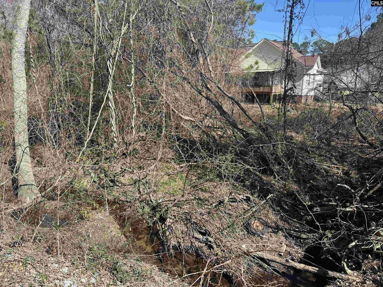 97 Charmont Drive Photo 6