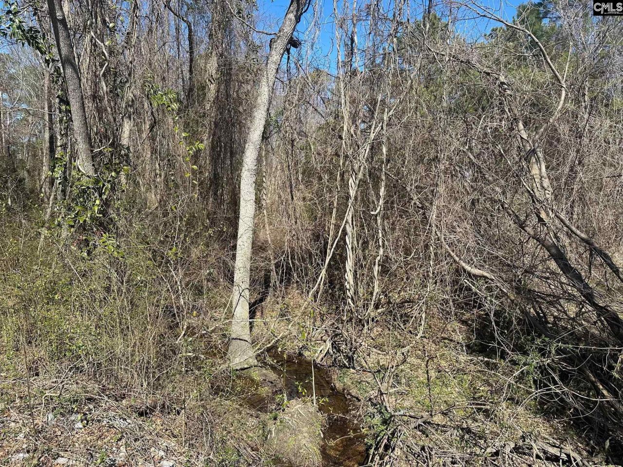 97 Charmont Drive Photo 8