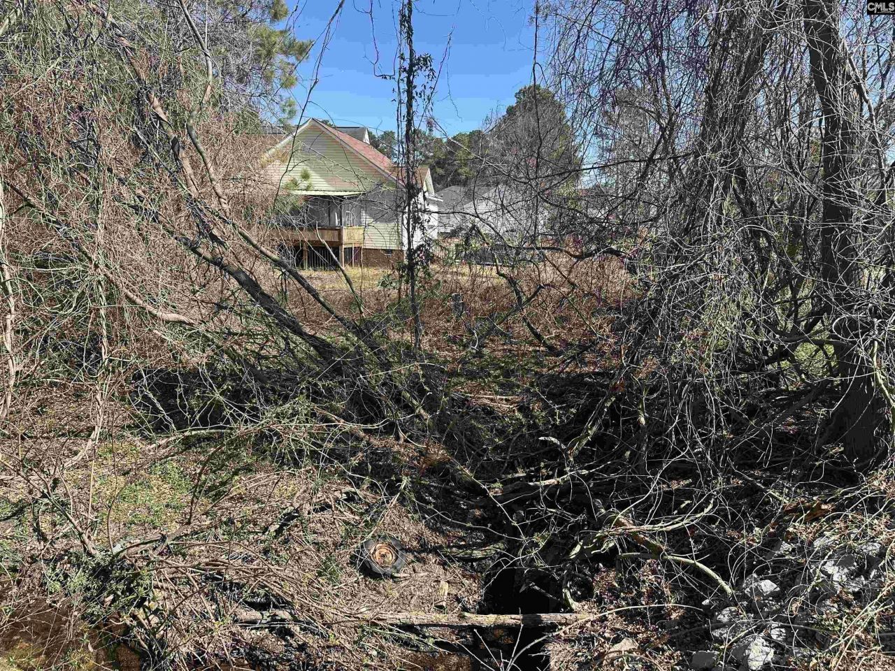 97 Charmont Drive Photo 9