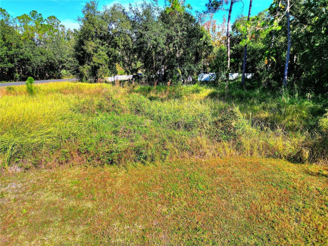 0 Intercession City, Intercession City, FL 33848 Photo