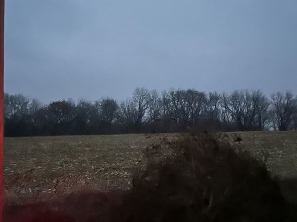 Bellview Road, FREEPORT, IL 61032