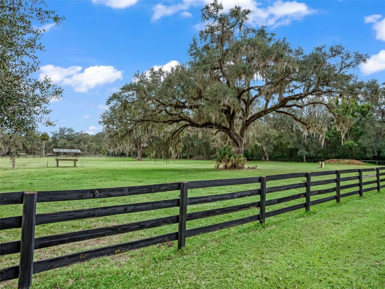 11553 NE Highway 315, Fort Mc Coy, FL 32134 Photo