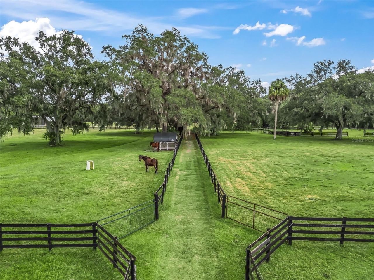 11553 NE Highway 315, Fort Mc Coy, FL 32134 Photo