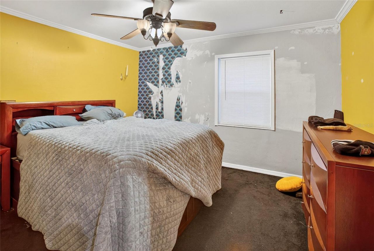 7800 11th Street N, Saint Petersburg, FL 33702 Photo