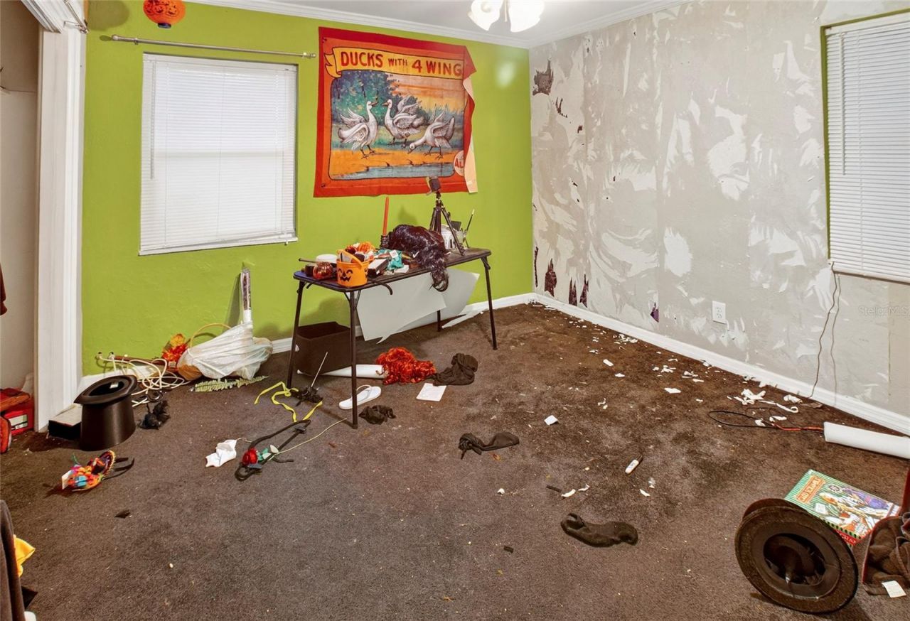 7800 11th Street N, Saint Petersburg, FL 33702 Photo