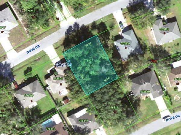 428 DOVE DR, POINCIANA, FL 34759