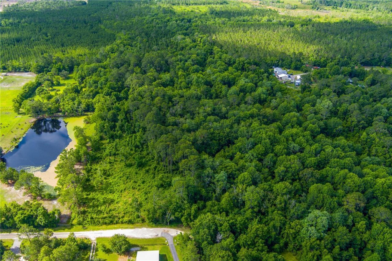 3201 E Raulerson Road, Saint Augustine, FL 32092 Photo