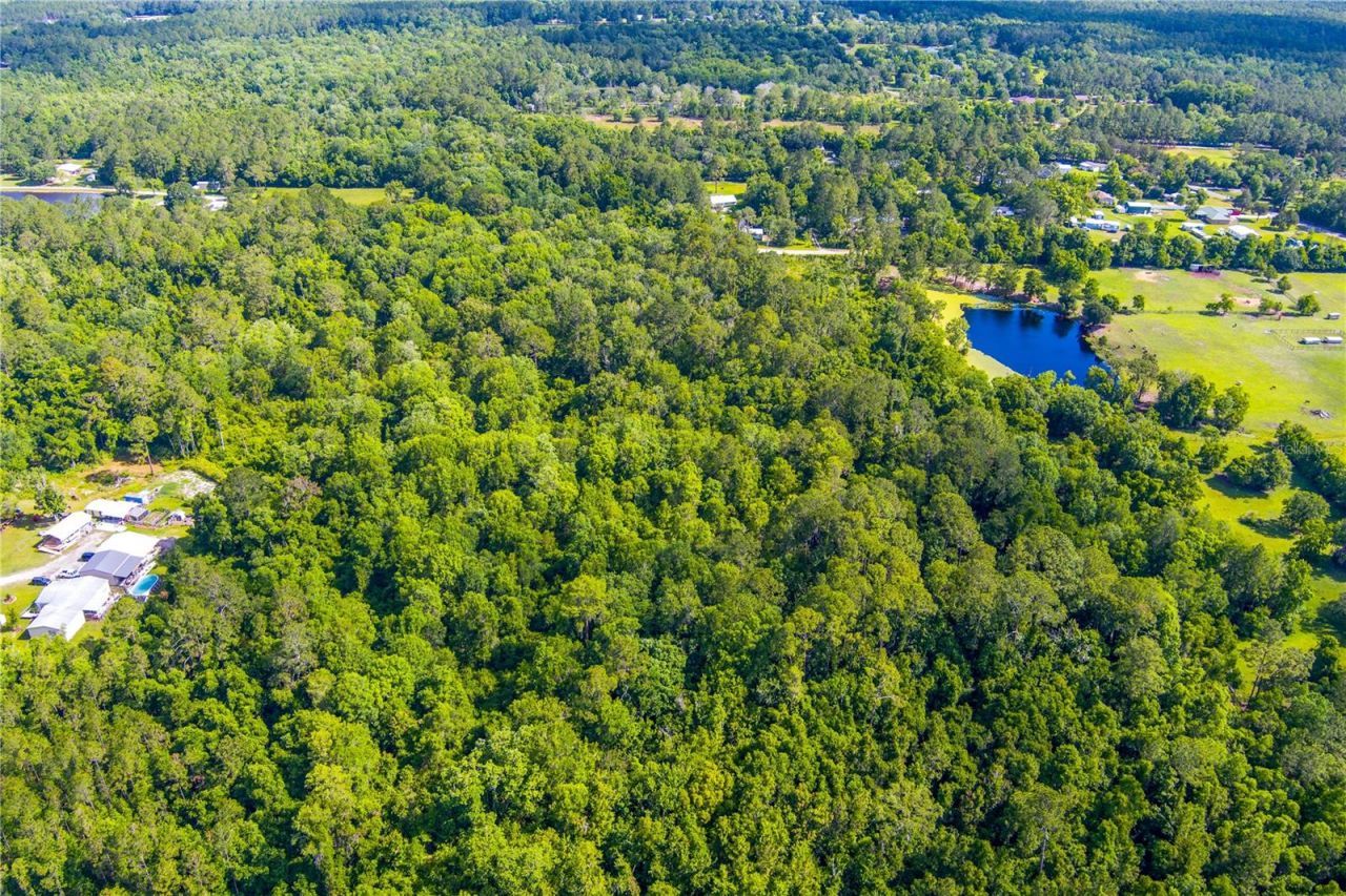 3201 E Raulerson Road, Saint Augustine, FL 32092 Photo