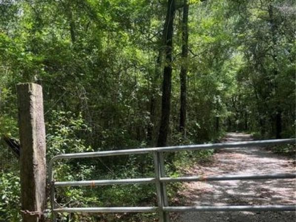 0 Williamstowne Curve , Mobile, AL 36618