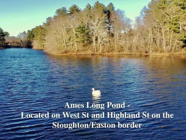 93 Palisades Cir, Stoughton, MA 02072