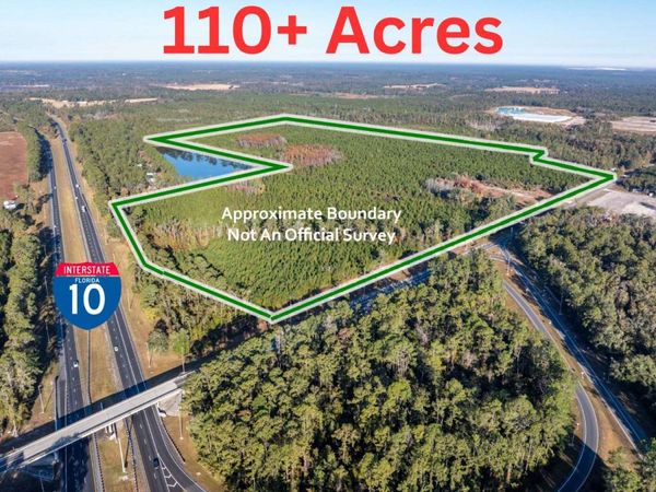 TBD CR 137, Wellborn, FL 32094