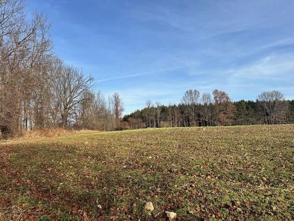 0 Seymour Road, Unit Parcel C, Grass Lake, MI 49240
