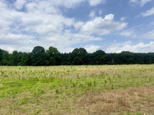 0 Seymour Road, Lot #Parcel D, Grass Lake, MI 49240 Main Photo