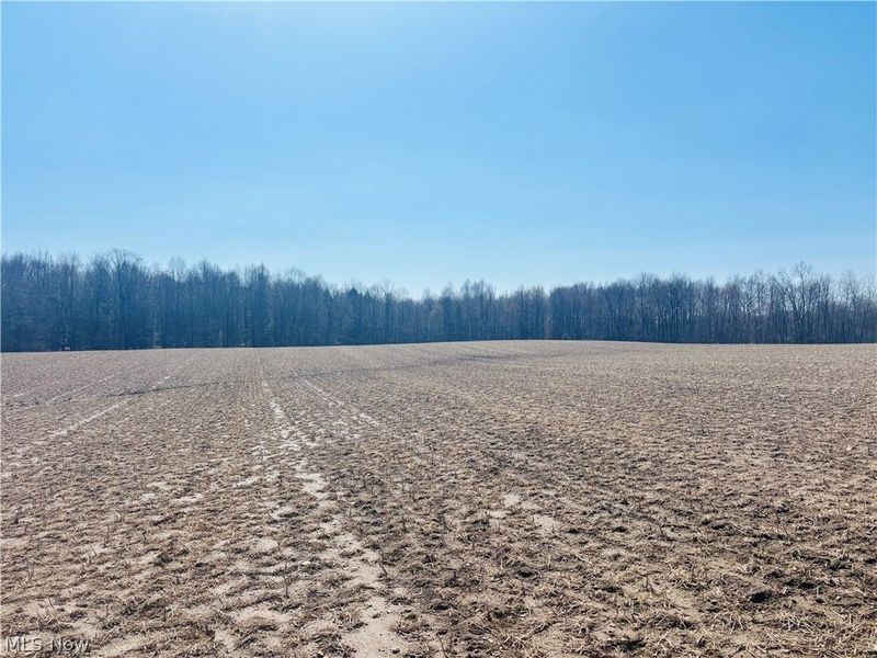 Plymouth Gageville Road, Sheffield, OH 44004 Photo 12