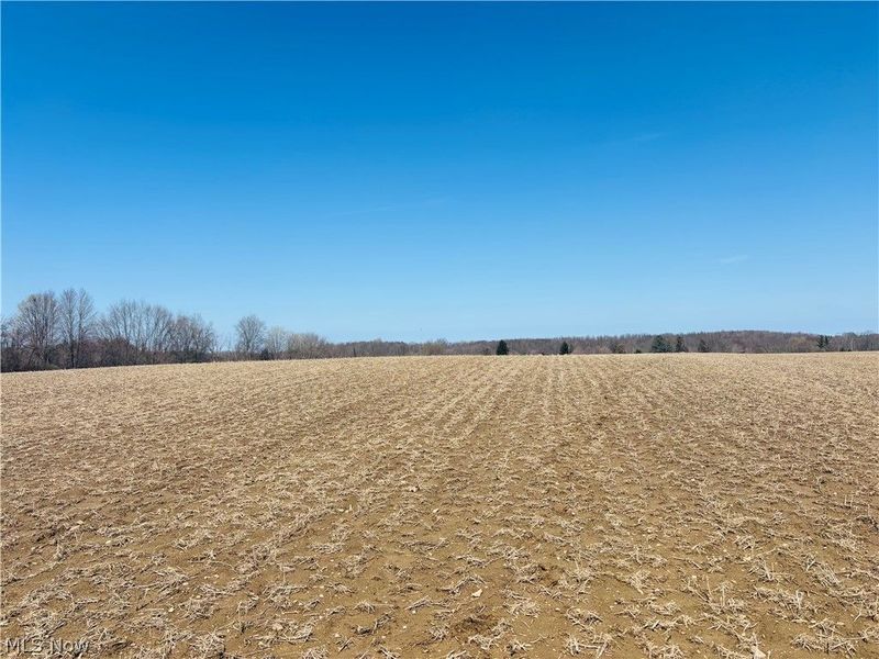 Plymouth Gageville Road, Sheffield, OH 44004 Photo 2