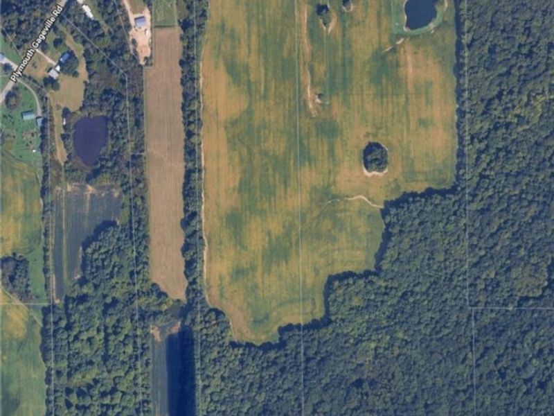 Plymouth Gageville Road, Sheffield, OH 44004 Photo 4