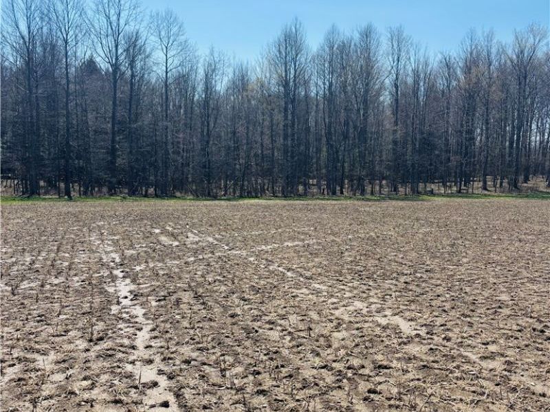 Plymouth Gageville Road, Sheffield, OH 44004 Photo 6