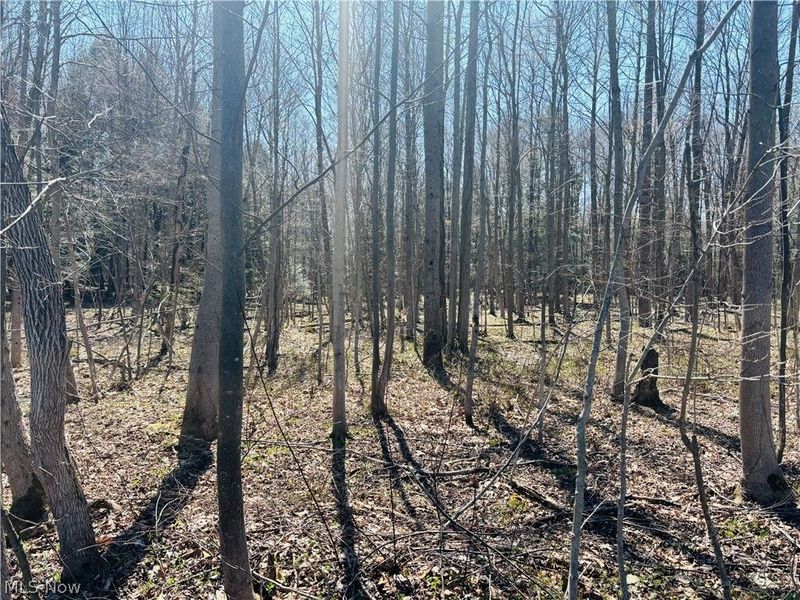 Plymouth Gageville Road, Sheffield, OH 44004 Photo 7