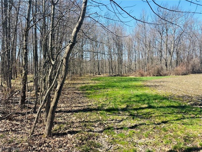 Plymouth Gageville Road, Sheffield, OH 44004 Photo 8