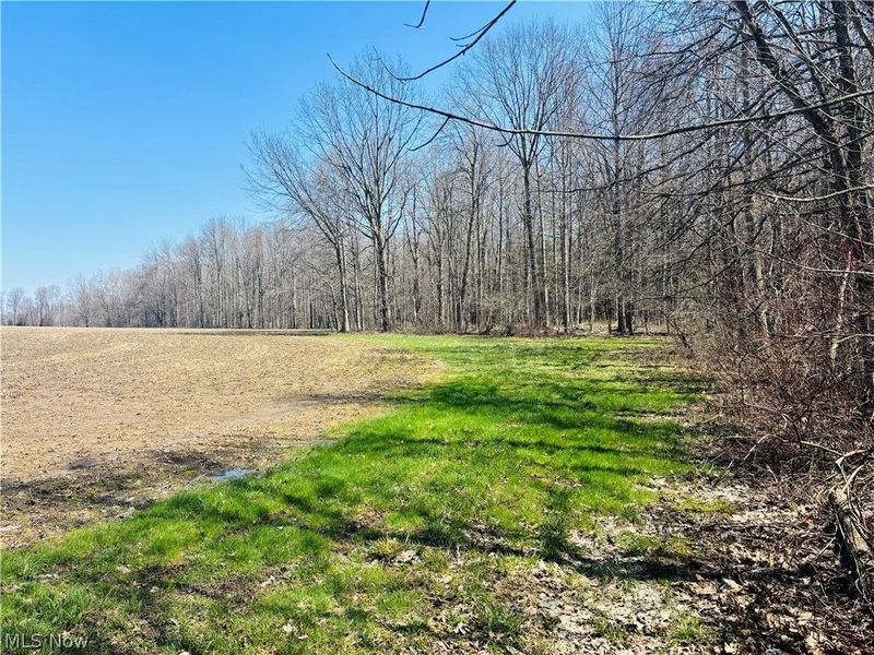 Plymouth Gageville Road, Sheffield, OH 44004 Photo 9