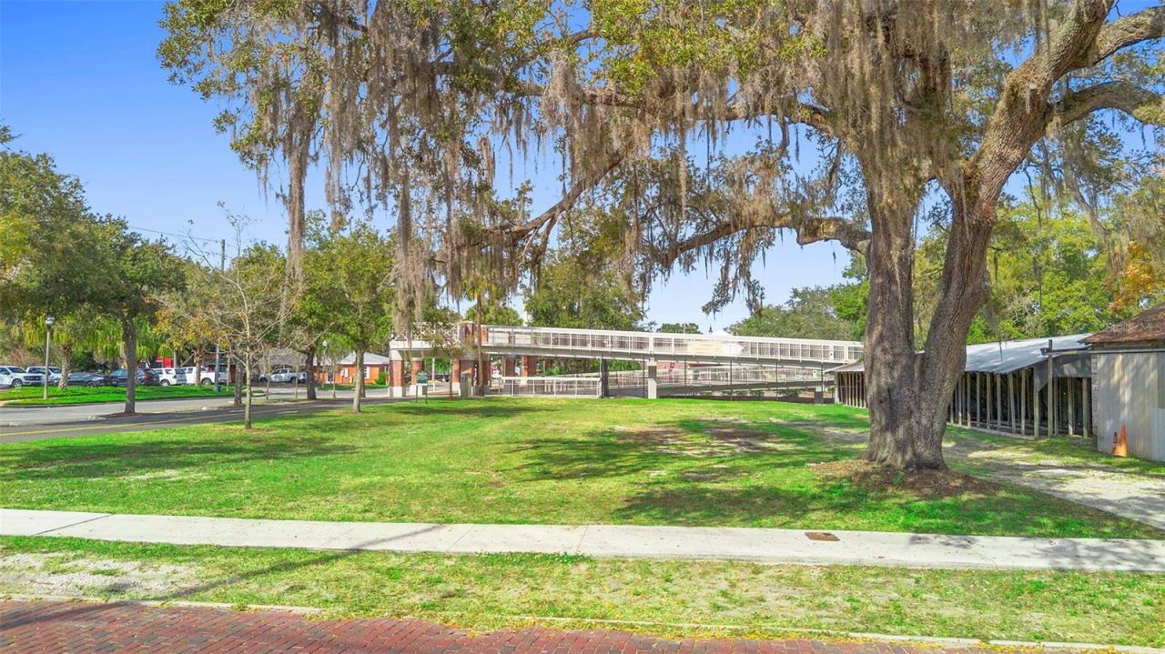 215 E 5th Street, Apopka, FL 32703 Photo