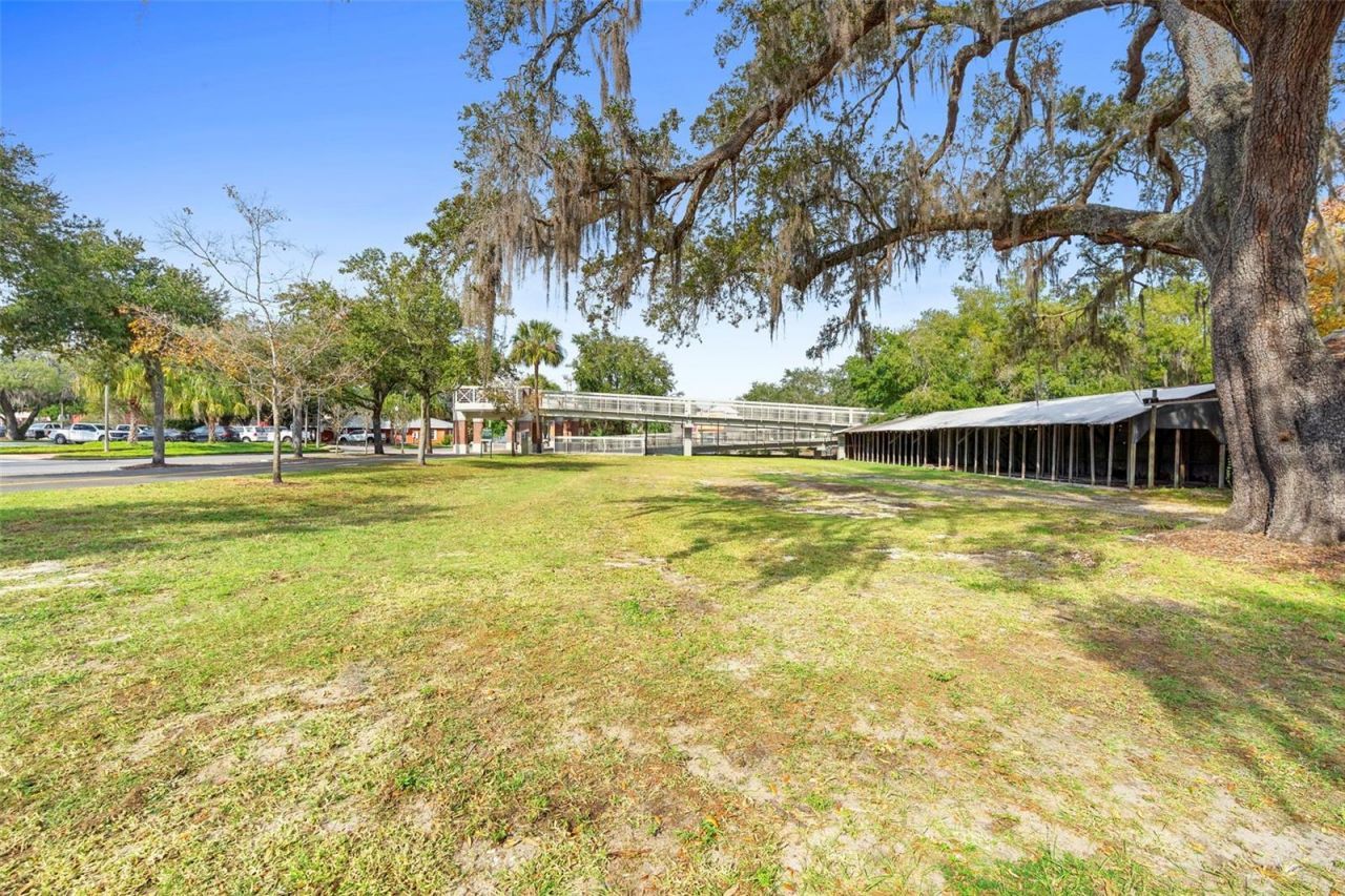 215 E 5th Street, Apopka, FL 32703 Photo