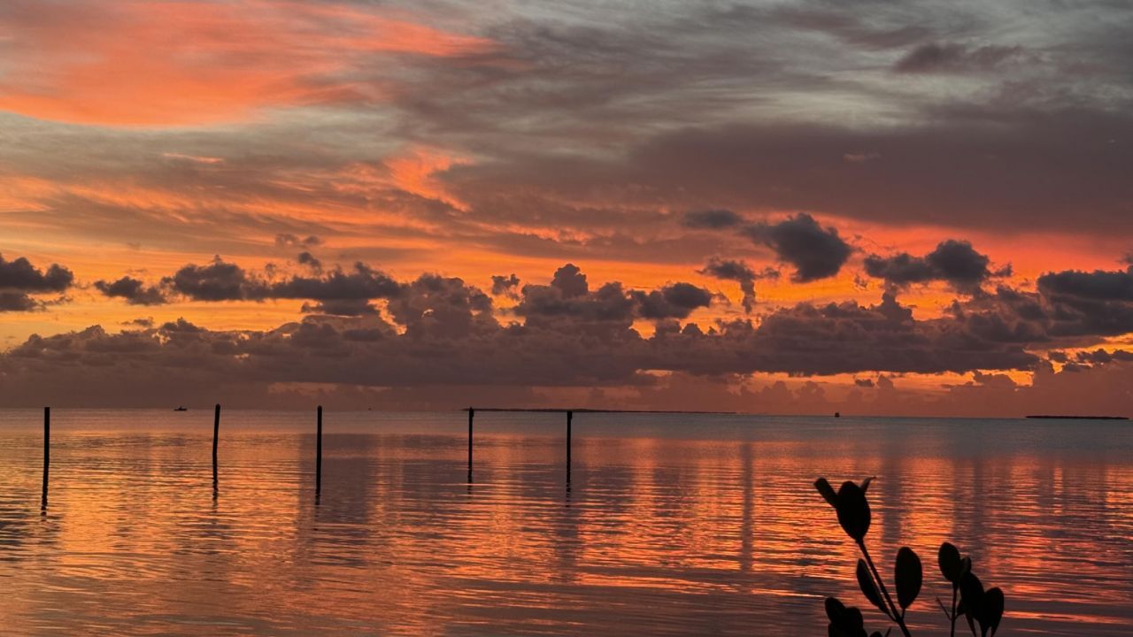 88500 Overseas Highway, Unit 320, Tavernier, FL 33070 Photo