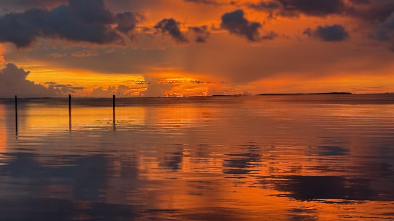 88500 Overseas Highway, Unit 320, Tavernier, FL 33070 Photo