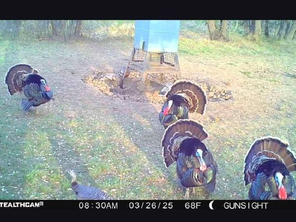 TBD County Road 154, Breckenridge, TX 76424