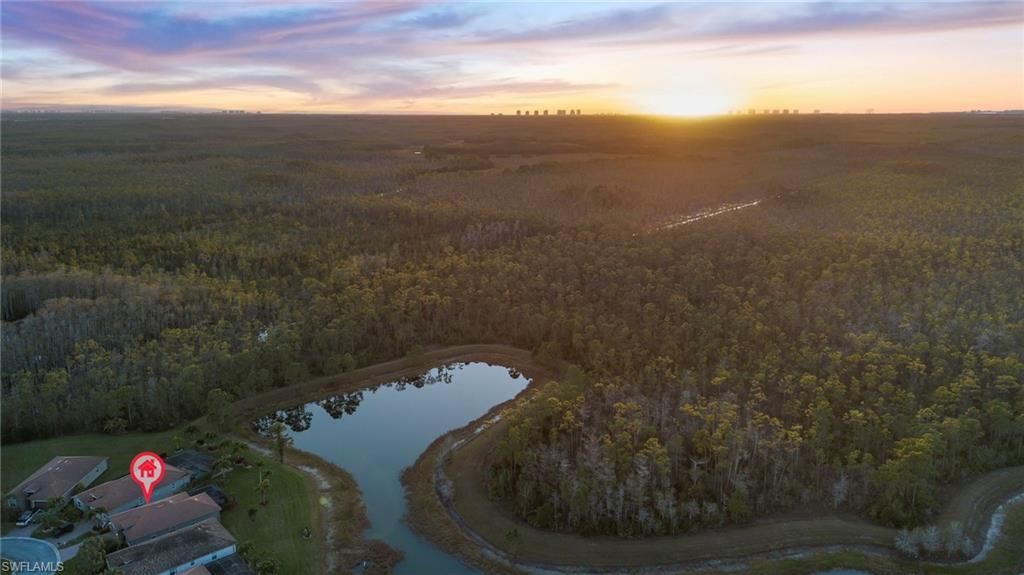 13082 Cardeto Ct, Estero, FL 33928 Photo