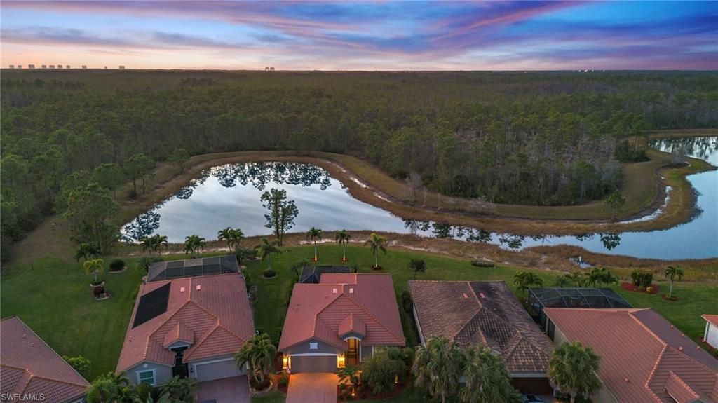 13082 Cardeto Ct, Estero, FL 33928 Photo