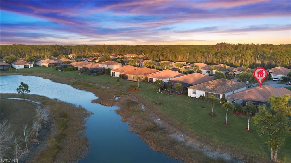 13082 Cardeto Ct, Estero, FL 33928 Photo