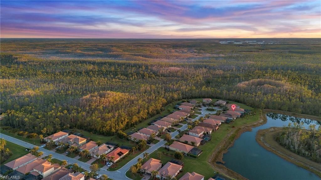 13082 Cardeto Ct, Estero, FL 33928 Photo