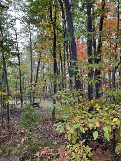 Steege Hill Road, Corning, NY 14830 Main Photo