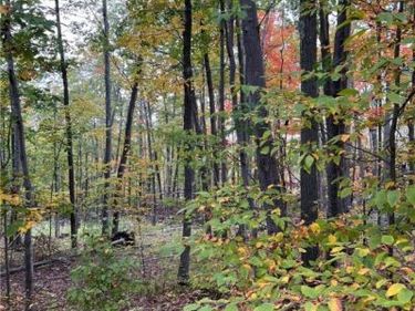 Steege Hill Road, Corning, NY 14830