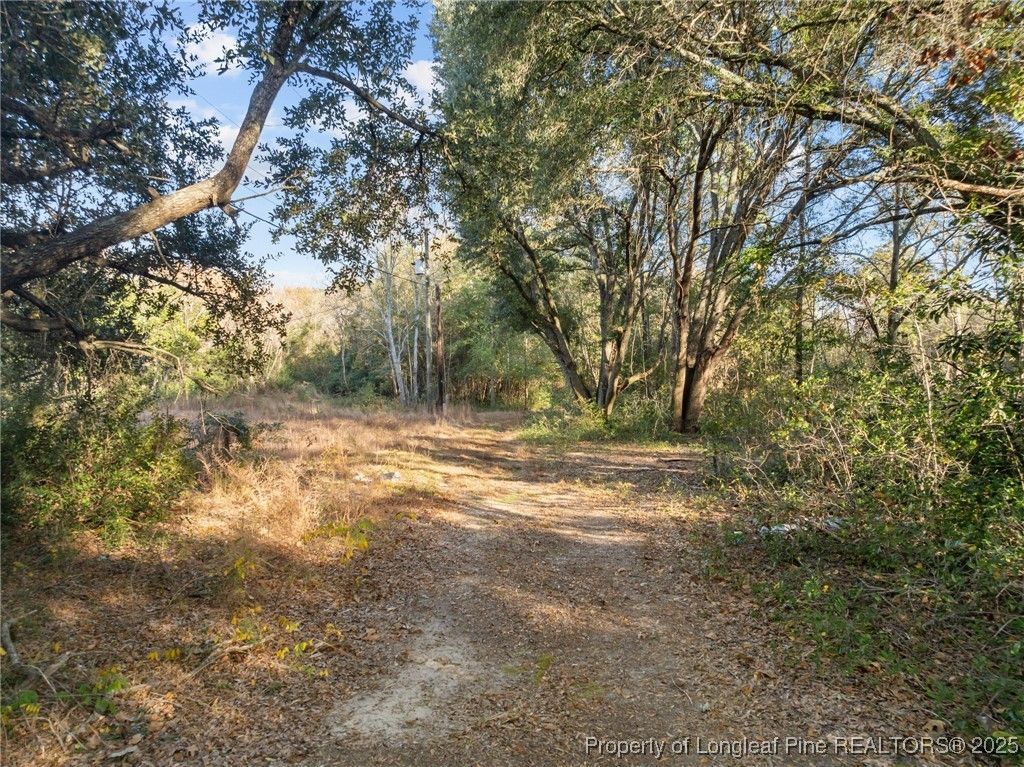 Doby Drive, Raeford, NC 28376 Main Photo