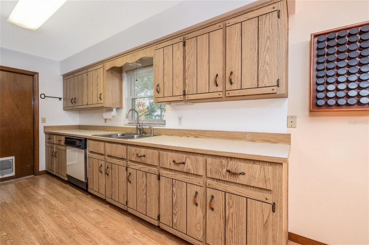 3221 Lime Tree Drive, Edgewater, FL 32141 Photo