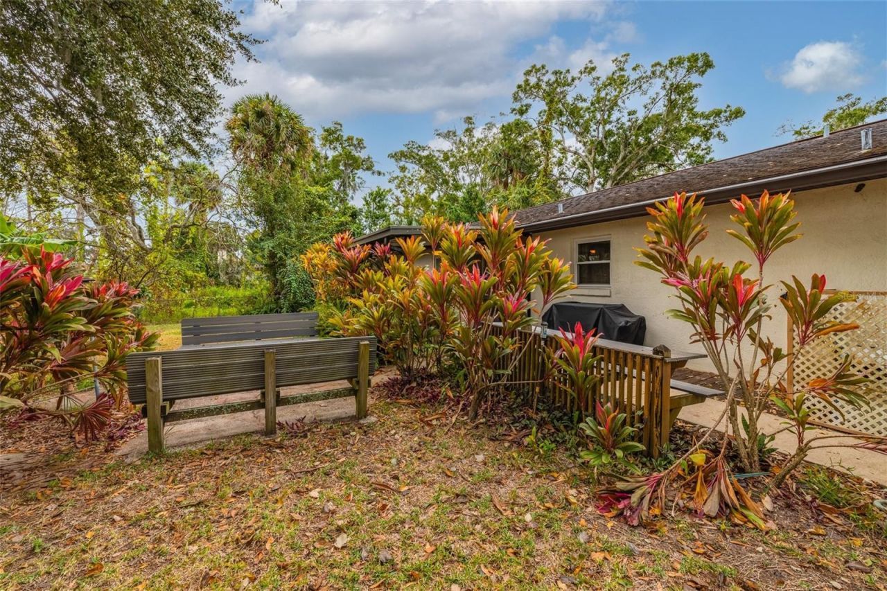 3221 Lime Tree Drive, Edgewater, FL 32141 Photo