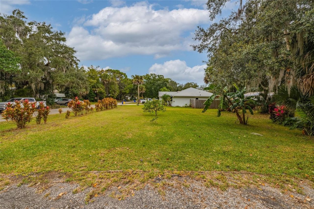 3221 Lime Tree Drive, Edgewater, FL 32141 Photo