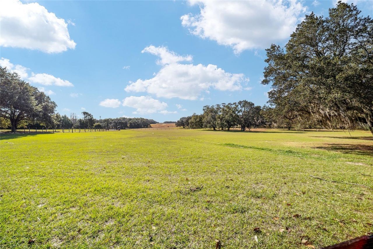 36203 Micro Racetrack Road, Fruitland Park, FL 34731 Photo