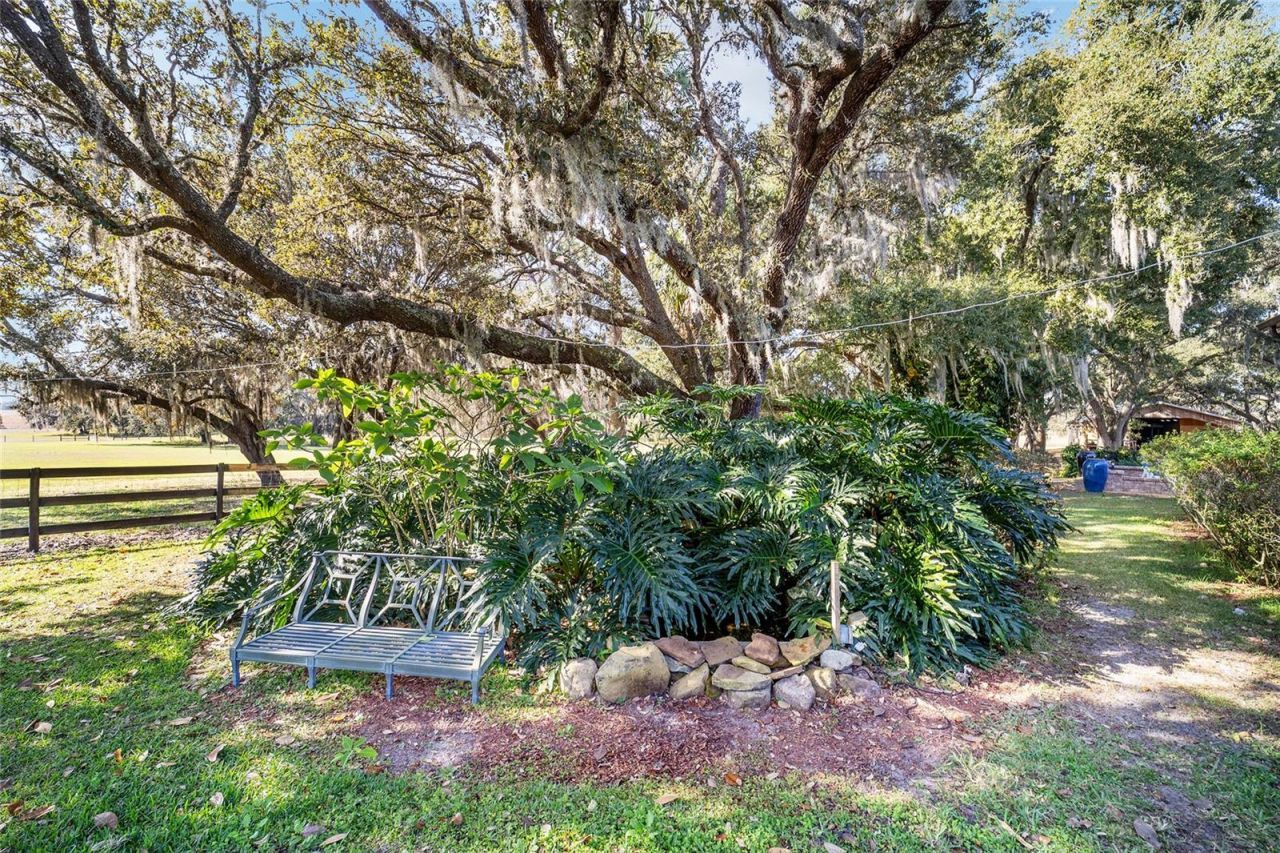 36203 Micro Racetrack Road, Fruitland Park, FL 34731 Photo