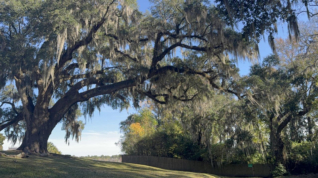 16 N Basilica Avenue Photo 48